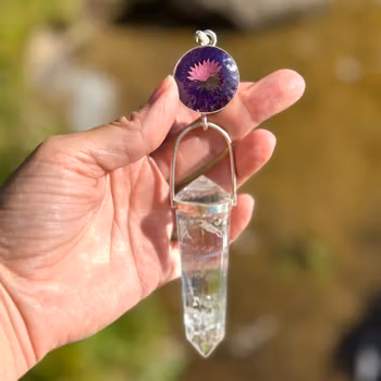 Higher vision- Large Amethyst with 24 sided Master Vogel crystal