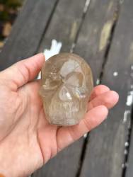 Serafina- citrine skull