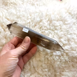 Lodolite Vogel , super rare