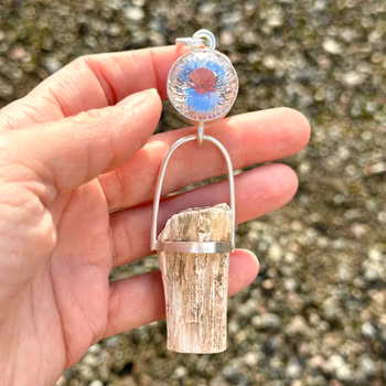 Light Portal - Clear Quartz & Petrified Wood   Mother Tree of Ancient Earth
