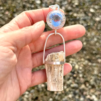 Light Portal - Clear Quartz & Petrified Wood   Mother Tree of Ancient Earth