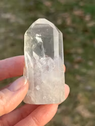 Lemurien with small crystals on the side