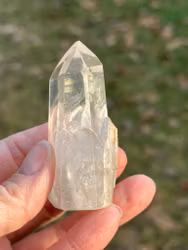 Lemurien with small crystals on the side