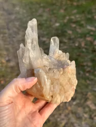 Clear quartz Lemurian  crystal cluster