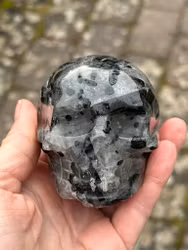 Black tourmaline Rutilated Quartz skull