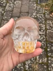Golden healer skull