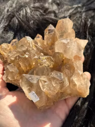 Rutilates Quartz cluster