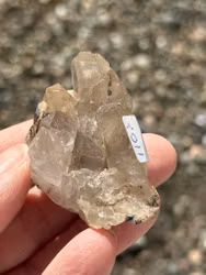 Rutilated Quartz cluster