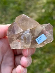 Rutilated Quartz cluster