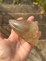 Citrine golden healer traveller skull