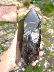 Large Smokey Quartz with Lodolite