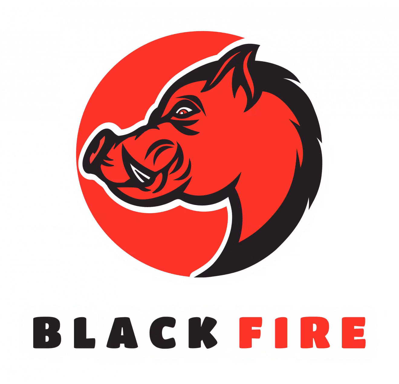 Black Fire - Karlstad Jakt & Fritid
