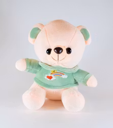 Nalle med Regnbåge Grön 20 cm