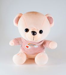 Nalle med Regnbåge Rosa 20 cm