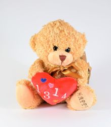 Brun Nalle med Rött Hjärta 20cm