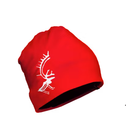 Fleecefodrad mössa med ren