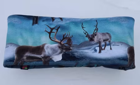 Fodrat pannband med renmöster