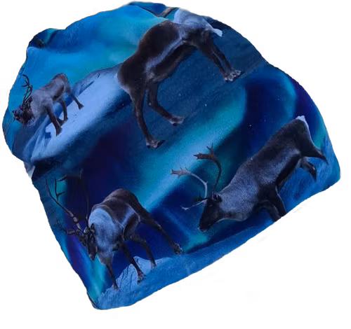 Mössa med renmönster