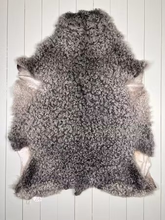 #206