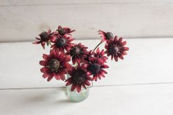 Rudbeckia Cherry Brandy