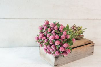 Klotamarant Raspberry Cream