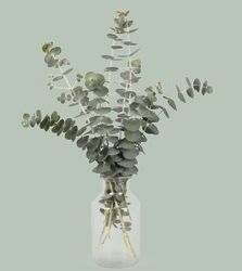 Eucalyptus  Baby Blue Bouquet