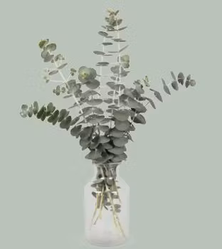 Eucalyptus  Baby Blue Bouquet