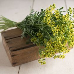 Vinruta