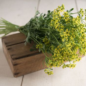 Vinruta