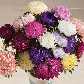 Aster Tower Mix