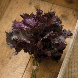 Bladmynta Shiso Red