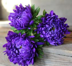 Aster Tower Blue