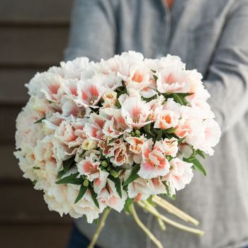 Atlasblomma Grace Shell Pink F1