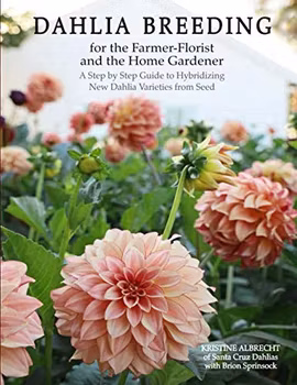 Bok Dahlia Breeding