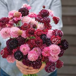 NYHET! Praktvädd Tripple Berry Mix