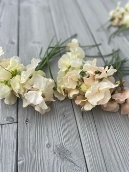 NYHET! Luktärt Juliet