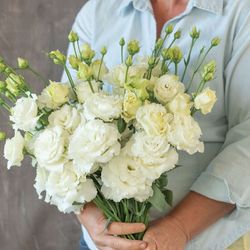 NYHET! Prärieklocka Alisa Vit