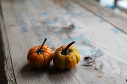 NYHET! Pumpkin on-a-stick