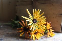 NYHET! Rudbeckia Chim Chiminee