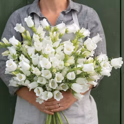NYHET! Mariaklocka Champion White