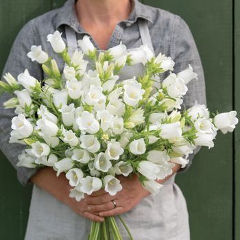NYHET! Mariaklocka Champion White
