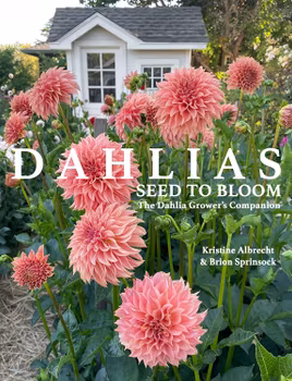 NYHET! Bok Dahlia´s seed to bloom
