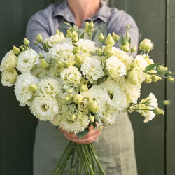 Prärieklocka Voyage 2 Green