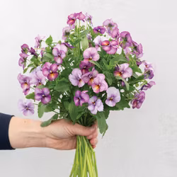 Viol Floral Power Plum Antique