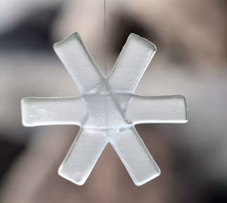 Snöstjärna Frost
