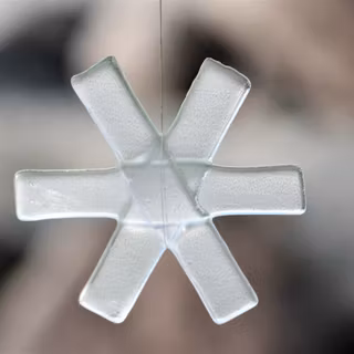 Snöstjärna Frost