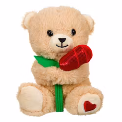 Teddybjörn m Röd Ros o Hjärta på Tassen 15cm! Alla hjärtans dag
