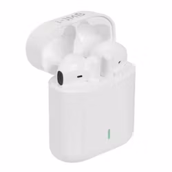True Wireless Hörlurar m Laddningsfodral