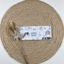 Pannebånd str 48/50