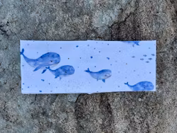 Pannebånd str 48/50